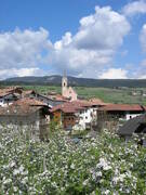 Immagine decorativa