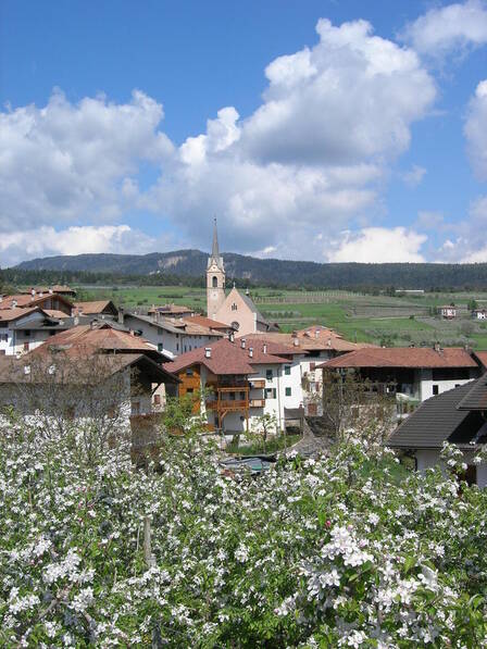 Immagine decorativa