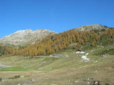 Immagine decorativa