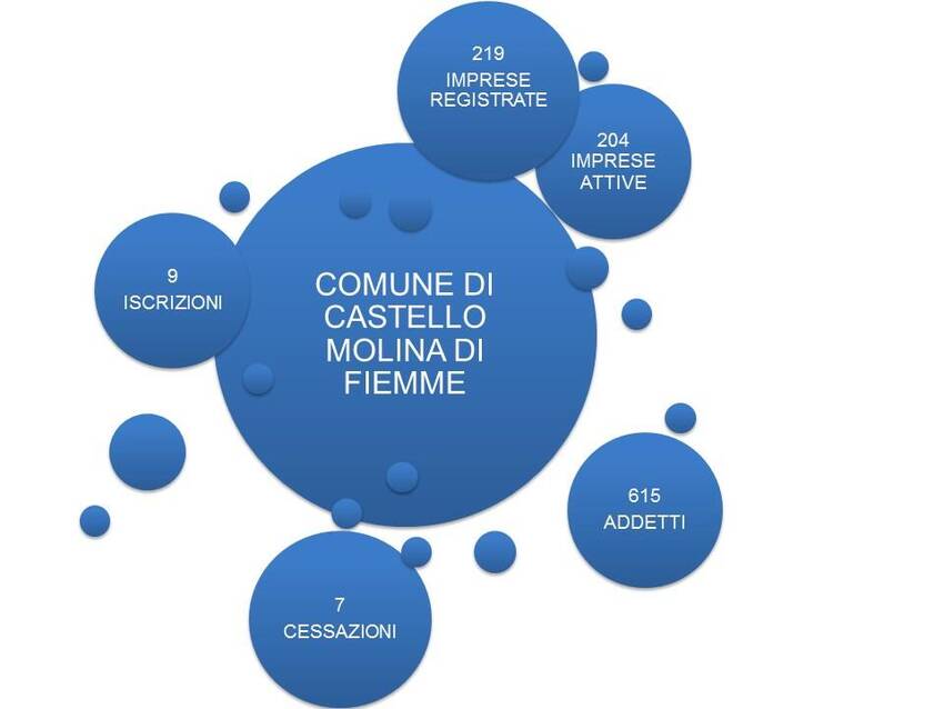 1. Imprese nel territorio del Comune di Castello Molina di Fiemme