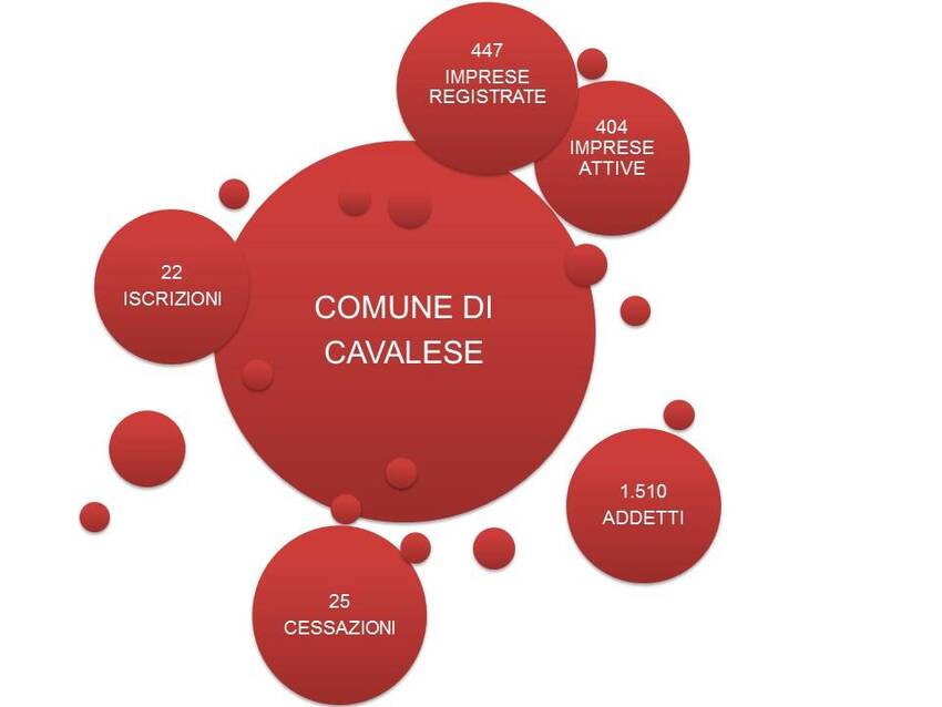 2. Imprese nel territorio del Comune di Cavalese