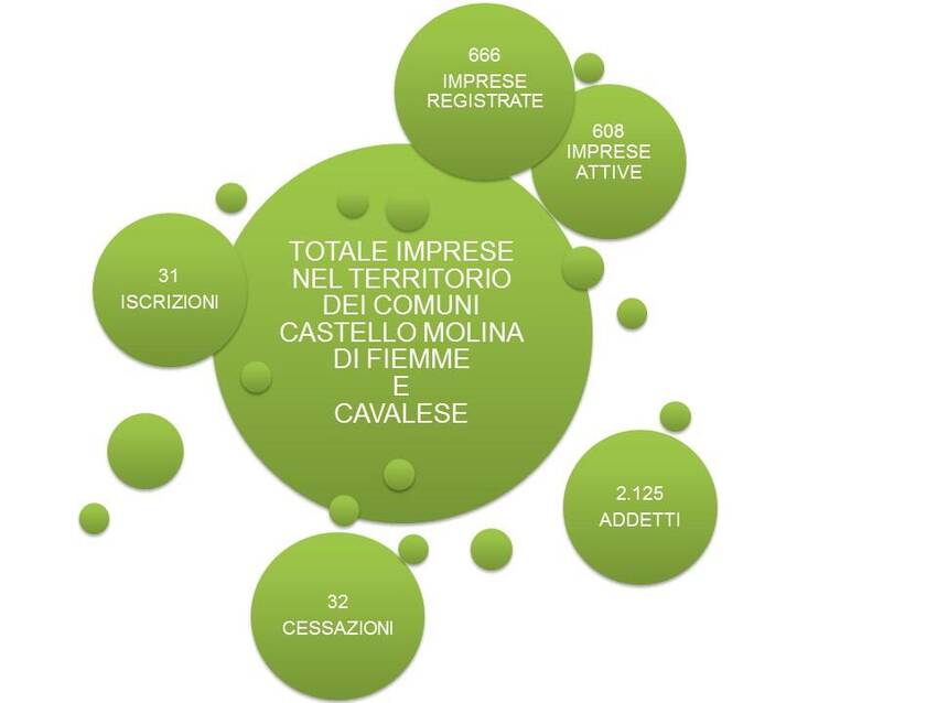 3. Imprese nel territorio dei Comuni di Castello Molina di Fiemme e Cavalese