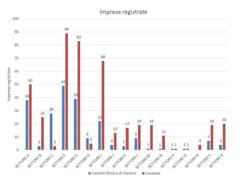 4. Andamento delle imprese nel territorio dei Comuni di Castello Molina di Fiemme e Cavalese