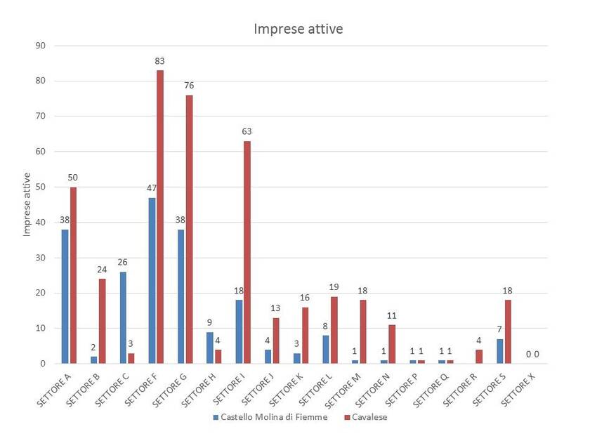 5. Imprese registrate nel territorio dei Comuni di Castello Molina di Fiemme e Cavalese