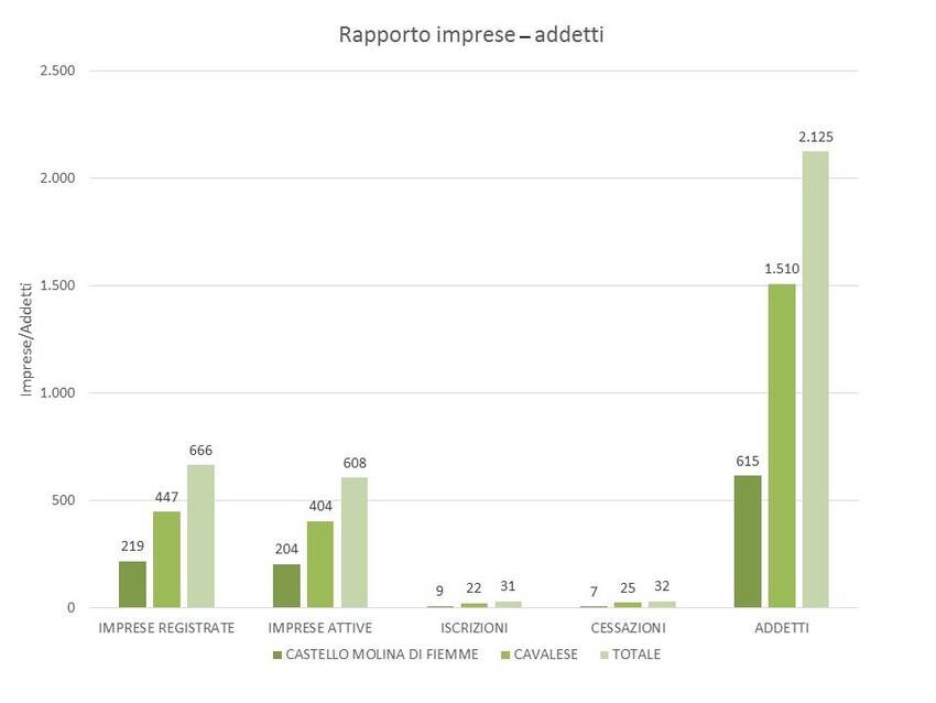 7. Addetti nel territorio dei Comuni di Castello Molina di Fiemme e Cavalese