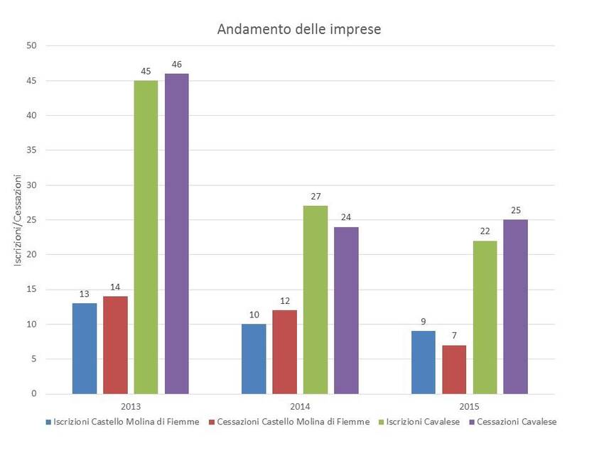 8. Rapporto imprese-addetti nel territorio dei Comuni di Castello Molina di Fiemme e Cavalese