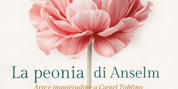 Immagine decorativa per il contenuto Presentazione del libro di Matilde Meazzi