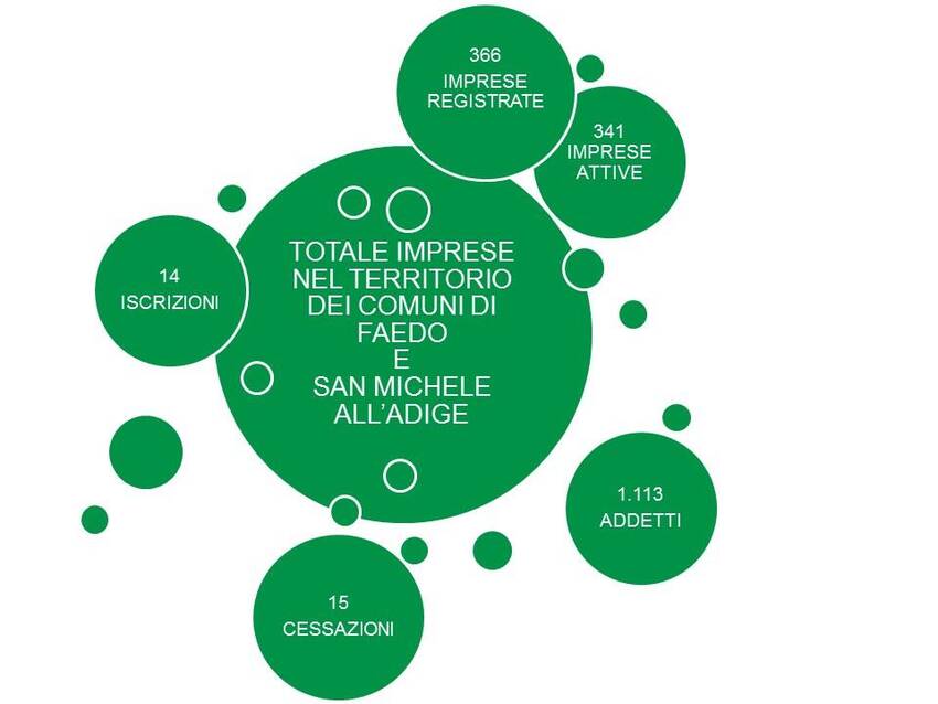 3. Imprese nel territorio dei Comuni di Faedo e San Michele all'Adige