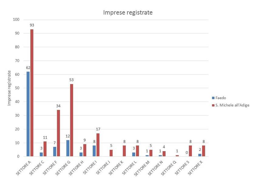 4. Andamento delle imprese nel territorio dei Comuni di Faedo e San Michele all'Adige