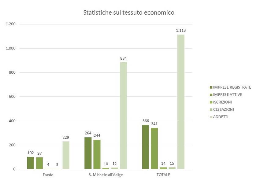 9. Statistiche sul tessuto economico nel territorio dei Comuni di Faedo e San Michele all'Adige