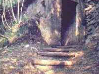 Immagine decorativa Immagine decorativa