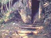 Immagine decorativa Immagine decorativa