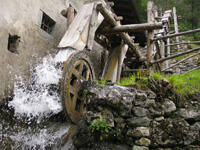 Immagine decorativa