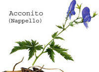Immagine decorativa