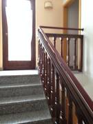 Immagine decorativa
