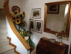 Immagine decorativa