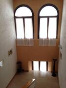 Immagine decorativa