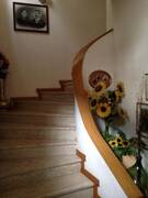 Immagine decorativa