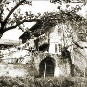 Immagine decorativa