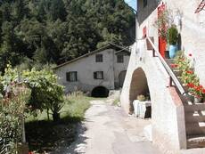 Immagine decorativa