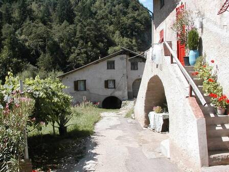 Immagine decorativa