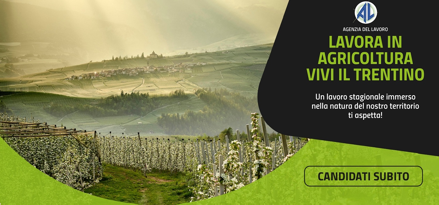 Il settore agricolo assume / Notizie / Novità / Comune di Pergine Valsugana Comune di Pergine Il settore agricolo assume / Notizie / Novità / Comune di Pergine Valsugana Comune di Pergine