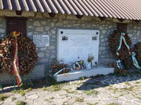 immagine decorativa