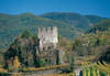 Castello di Segonzano Castello di Segonzano