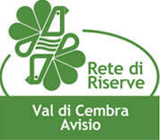 Immagine decorativa
