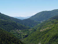 Immagine decorativa