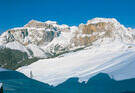 Campitello di Fassa, Col Rodella Campitello di Fassa, Col Rodella