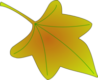 Immagine decorativa
