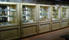 Immagine decorativa