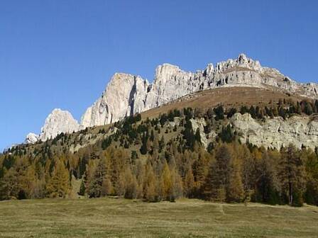 Immagine decorativa