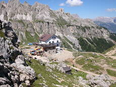 Immagine decorativa