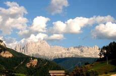 Immagine decorativa