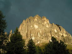 Immagine decorativa