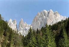 Immagine decorativa
