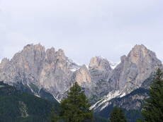 Immagine decorativa