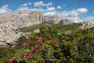 Passo Sella