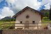 Immagine decorativa