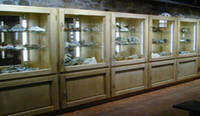 Immagine decorativa