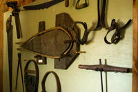 Immagine decorativa