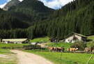 Passeggiata in Valmaggiore Passeggiata in Valmaggiore