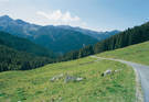 Passo Manghen