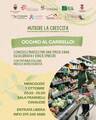 Immagine decorativa per il contenuto Occhio al carrello
