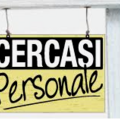 Immagine decorativa per il contenuto Ricerca personale per MENSA di CAVALESE