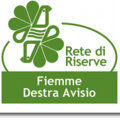 Immagine decorativa per il contenuto Rete di Riserve Fiemme destra Avisio