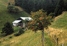 Brione