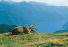 Lago d'Idro